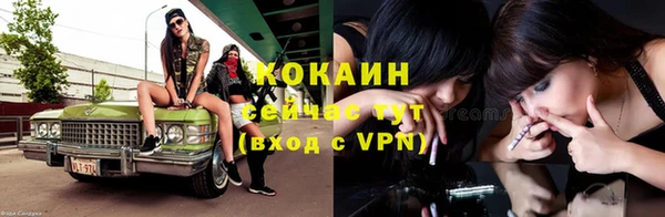 стаф Богородицк