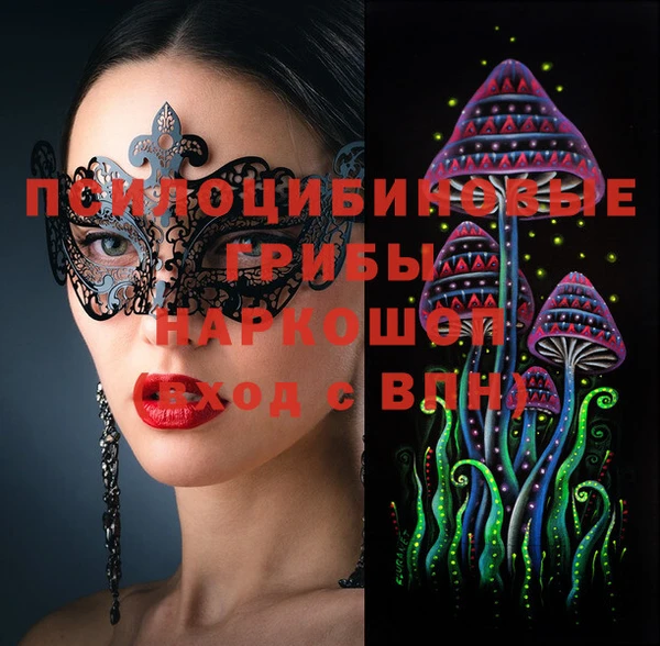 стаф Богородицк